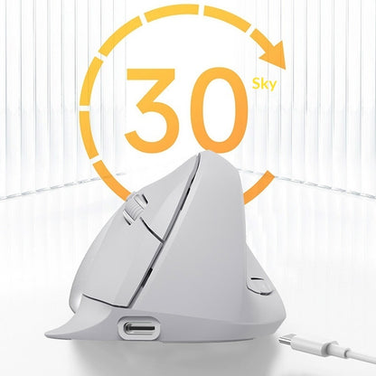 Wireless Bluetooth Ergonomic Mouse