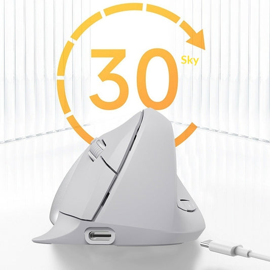 Wireless Bluetooth Ergonomic Mouse